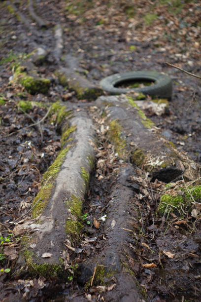 istock Muddy road in rural path at the forest with creek. 1188490788