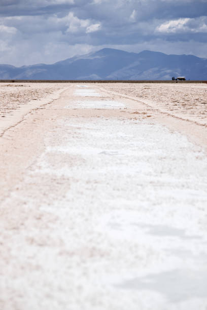 piscina asciutta nelle saline di salinas grandes a jujuy, argentina - 13633 foto e immagini stock