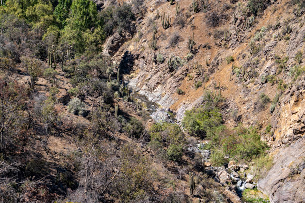 istock River in the Andes of central Chile 1188492603