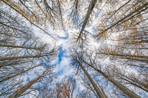istock Omberg ecopark and nature reserve 1188496846