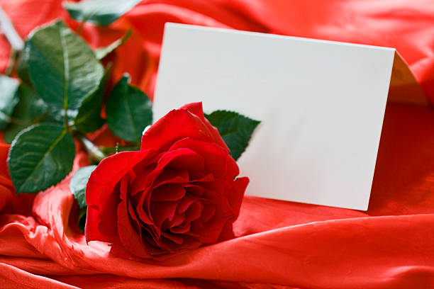 Red rose and blank card stock photo