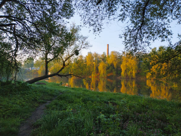 istock sunrise morning at river forests tree with water reflection 1188503132