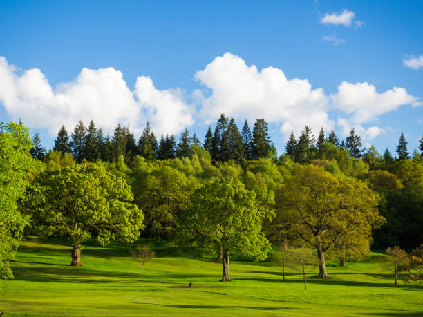 istock Callendar Park, Falkirk on a summers day 1188505143