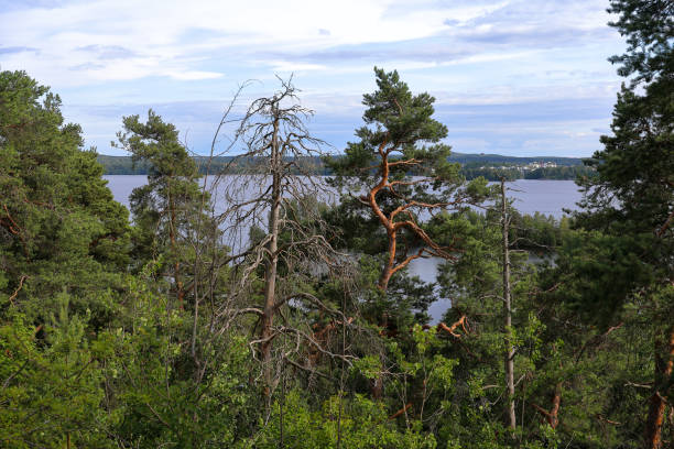 View from Pyynikki nature preserve in city of Tampere, Finland.