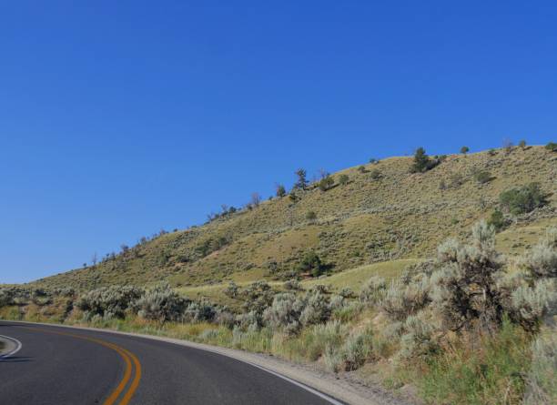 istock Sloping hills with sparse vegetation along a paved road at Yellowstone National Park heading toward Gardiner, Montana. 1188510864