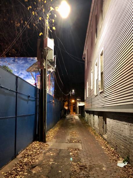 istock Chicago  lonely Alley 1188520107