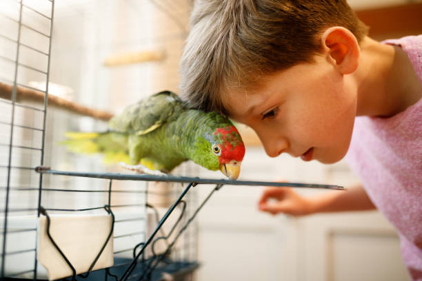 istock Beautiful friendship between kid and parrot 1188520678