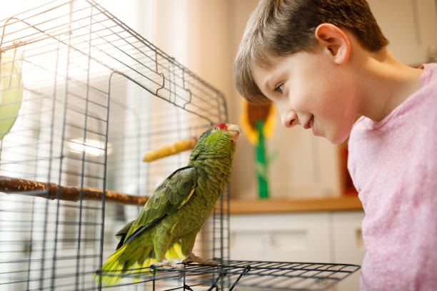 Beautiful friendship between kid and parrot