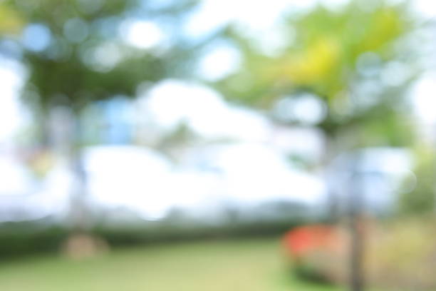 istock abstract image background, blur of green nature park 1188527522