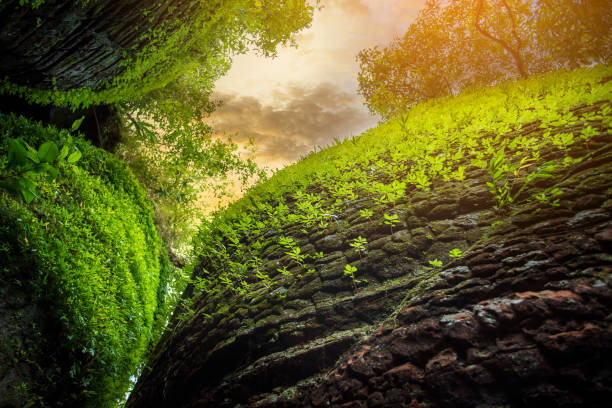 istock A beautiful mountainous stream deep inside the Mount Hood wilderness. 1188529062
