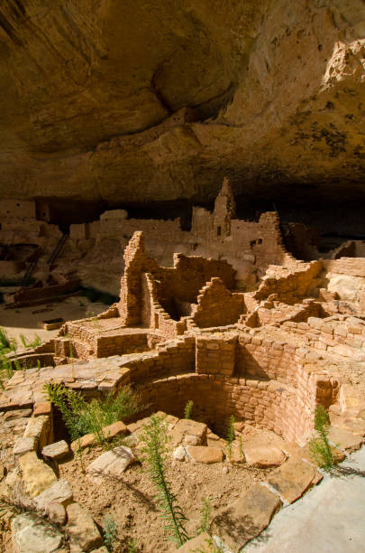 istock Mesa Verde NP - Wetherill Mesa - Long House Concentration of Buildings Vertical 1188530375