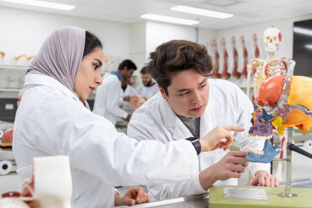 istock Medical Students Studying In University Lab 1188531304