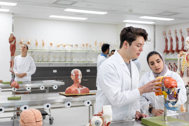 istock Medical Students Studying In University Lab 1188531307