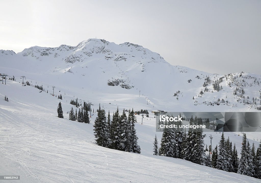 Ośrodek narciarski Whistler Blackcomb - Zbiór zdjęć royalty-free (Góra Blackcomb)