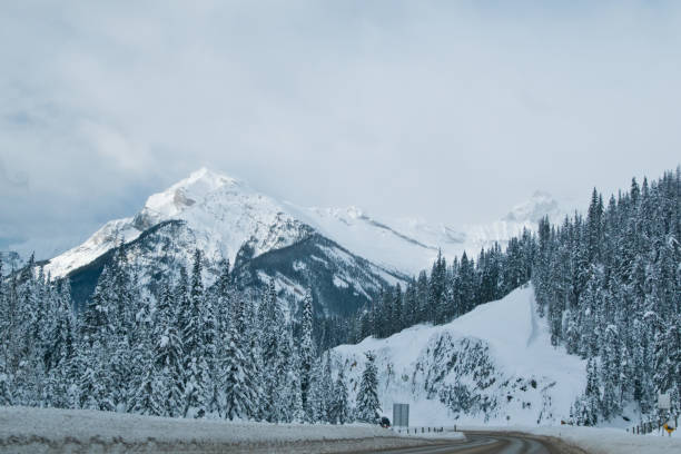 istock Beautiful Lake Louise in winter 1188532143