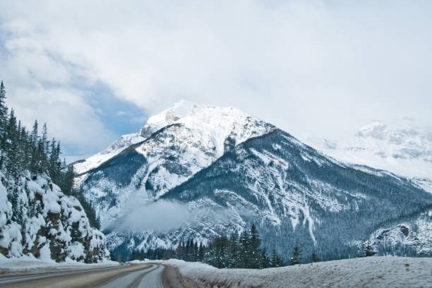 istock Beautiful Lake Louise in winter 1188532166