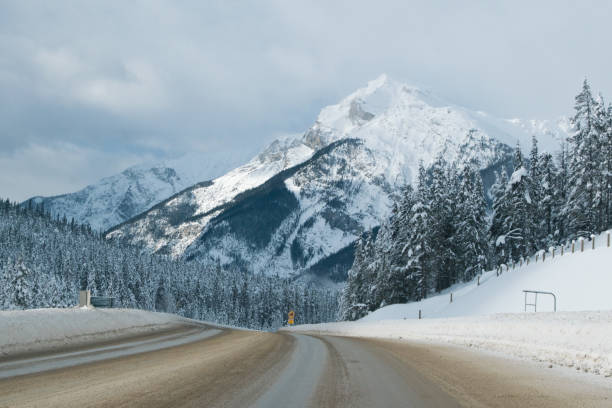 istock Beautiful Lake Louise in winter 1188532170