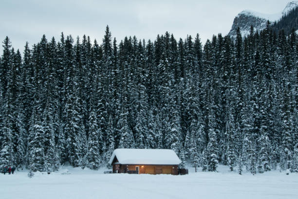 istock Beautiful Lake Louise in winter 1188532203