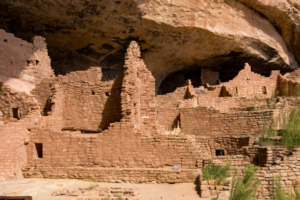 istock Mesa Verde NP - Wetherill Mesa - Long House Internal Walls 1188532213