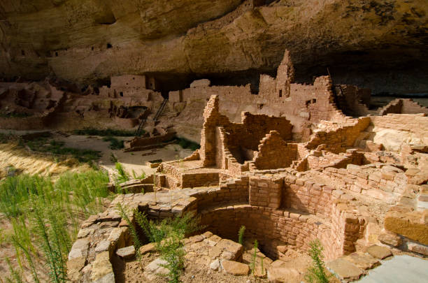 istock Mesa Verde NP - Wetherill Mesa - Long House Concentration of Buildings 1188532269