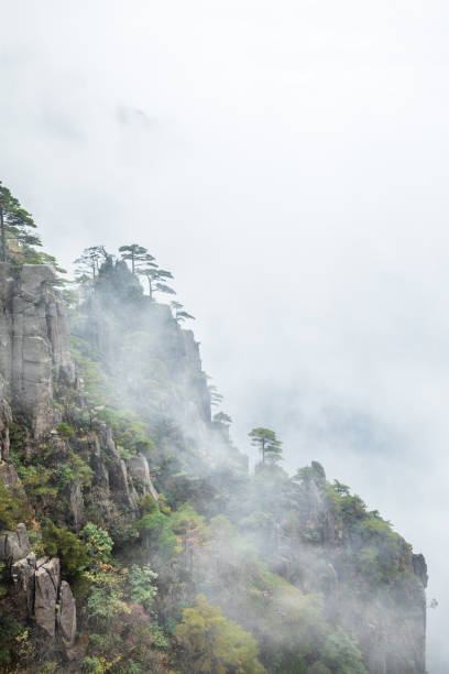 China Huangshan Scenic Area Landscape China Huangshan Scenic Area Landscape pinus hwangshanensis stock pictures, royalty-free photos & images