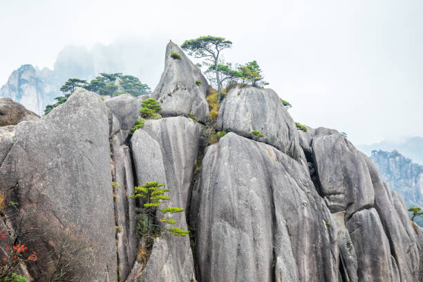 istock China Huangshan Scenic Area Landscape 1188535421