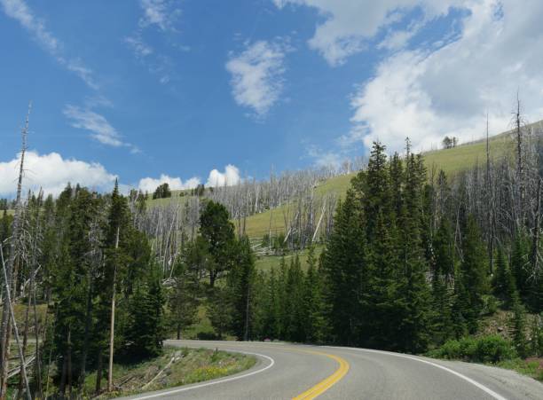 istock Drives around Yellowstone National Park is half the fun. 1188535536