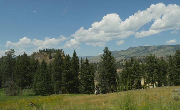 istock Verdant valleys and nature scenery at Yellowstone National Park. 1188536639