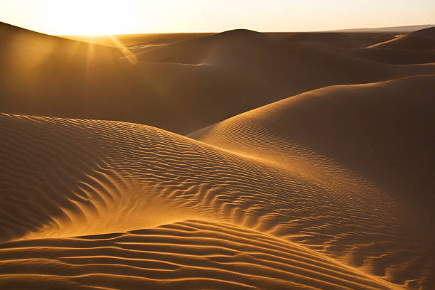 istock sunset over Sahara desert dunes 118854283