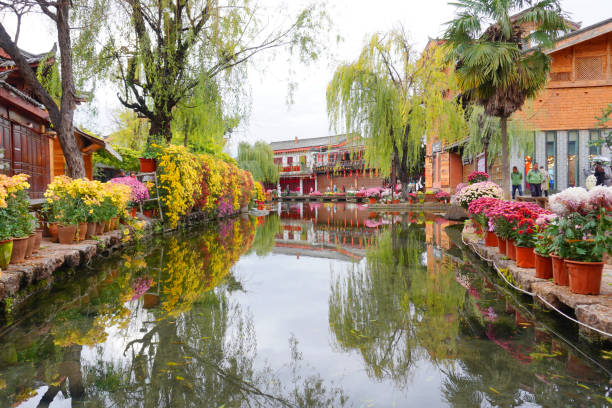Morning time at 'Flying flowers touching water', Lijiang Shuhe Ancient Town is located in the ancient city of Lijiang. 'Flying flowers touching water' is the beautiful square with stunning pool and garden. yunnan province stock pictures, royalty-free photos & images