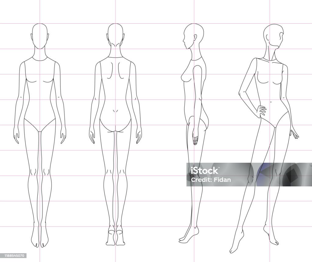 Technical Drawing Of Womans Figure Sketch Vector Thin Line Girl Model ...