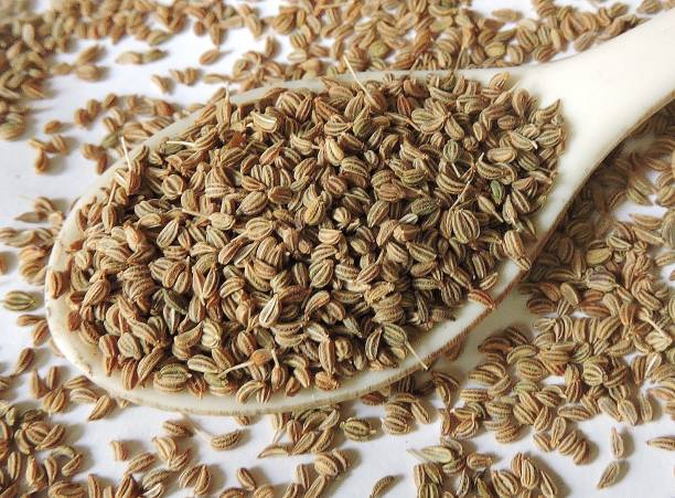 Spice -Ajwain or Bishop's weed. Scientific name - Trachyspermum ammi. Also known as carom, ajowan, caraway. Small seed like dried fruits are eaten row, used as spice. Also used in herbal medicines. especia -ajwain o hierba de bishop. nombre científico - trachyspermum ammi. también conocido como carom, ajowan, caraway. pequeñas semillas como frutos secos se comen fila, utilizada como especia. también se utiliza en medicamentos a base de hierbas.