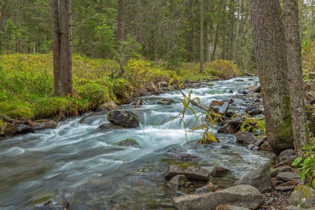 istock Antholz creek, South Tyrol 1188547615