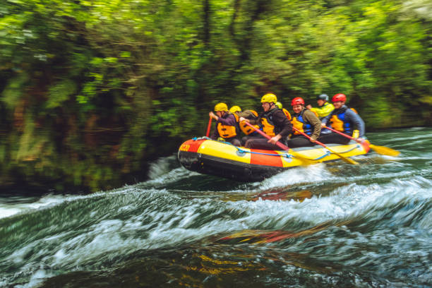 Kaituna River, Rotorua, New Zealand, November 21, 2019. Rotorua is rapidly developing not only as a cultural tourist destination but also for adventure. This particular section of the Kaituna river is just after the put in. It is the first of many rapids and is known as the Chute. The river takes approximately 45minutes to complete and includes the worlds highest commercially rafted waterfall in the world called Tutea.