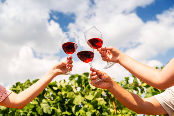 istock Glasses with red wine in a vineyard in female hands 1188548961