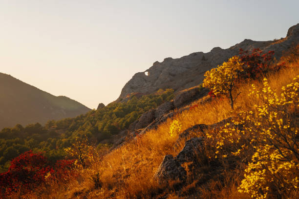 istock Golden sunset in the autumn 1188549189