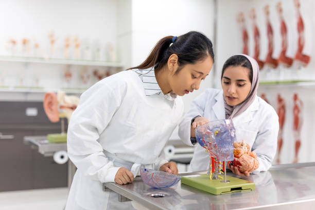 istock Two Female Medical Students Studying In University Lab 1188549344