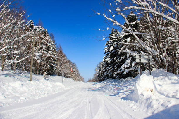 istock Snowy road and blue sky 1188551127