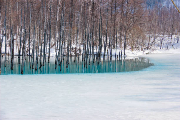 istock Blue pond in winter in Biei 1188551212