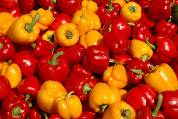 市場における唐辛子黄色と赤色のグループ - pepper bell pepper market spice ストックフォトと画像