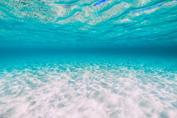 istock Tropical blue ocean with sand underwater in Hawaii 1188554478