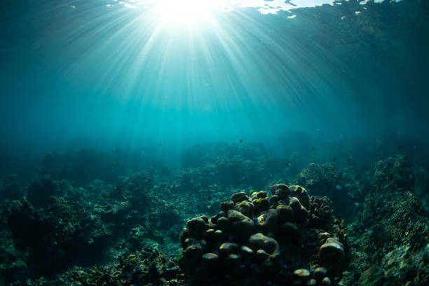 istock Underwater view with corals, rocks and sun rays. Tropical sea and reef 1188554507