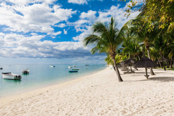 istock Luxury beach in Mauritius with transparent ocean, white sand beach, palms and blue sky 1188554513