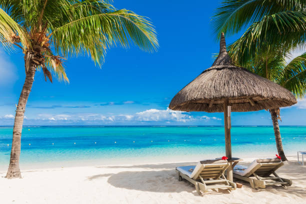 istock Chairs and umbrella at beach with palms. Holiday banner 1188554525
