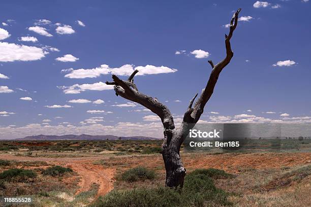 Outback Australien Stockfoto und mehr Bilder von Abenteuer - Abenteuer, Agrarbetrieb, Ausgedörrt