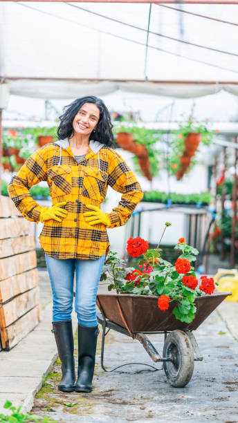 operaio in serra in piedi mani sull'anca, carrello pieno di fiori - women large build gardening outdoors foto e immagini stock