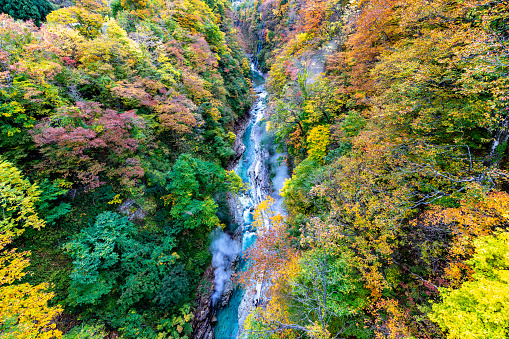 Tamagawa Hot Spring at the foot of Mt. Yake in HachimantaiOyasukyo Gorges yuzawa-city in akita japan, autumn leafs