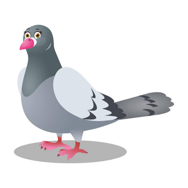 ilustrações, clipart, desenhos animados e ícones de pinguim - imagem do vetor - bird feeder illustrations