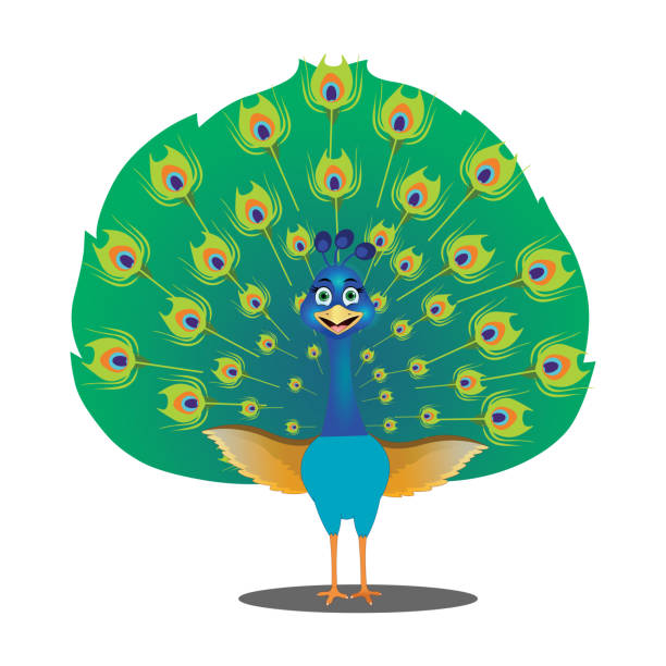 Cartoon Peacock Stock Photos, Pictures & Royalty-Free Images - iStock