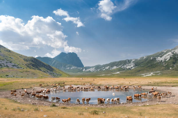 istock lake of pietranzoni 1188563142